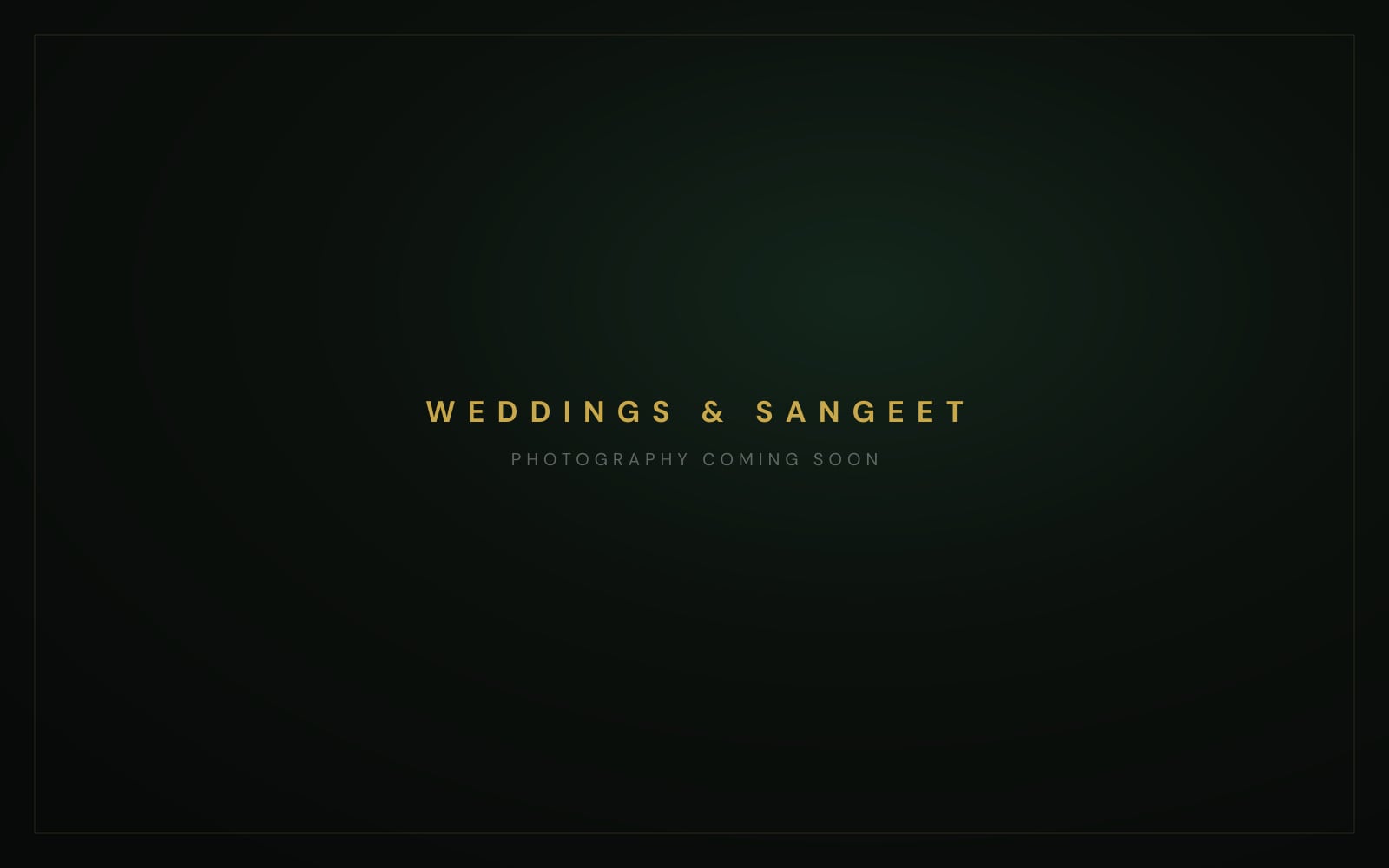 DJ VIC — Weddings & Sangeet